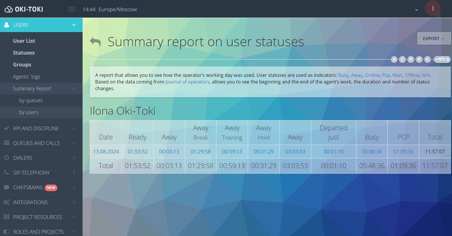 Summary report